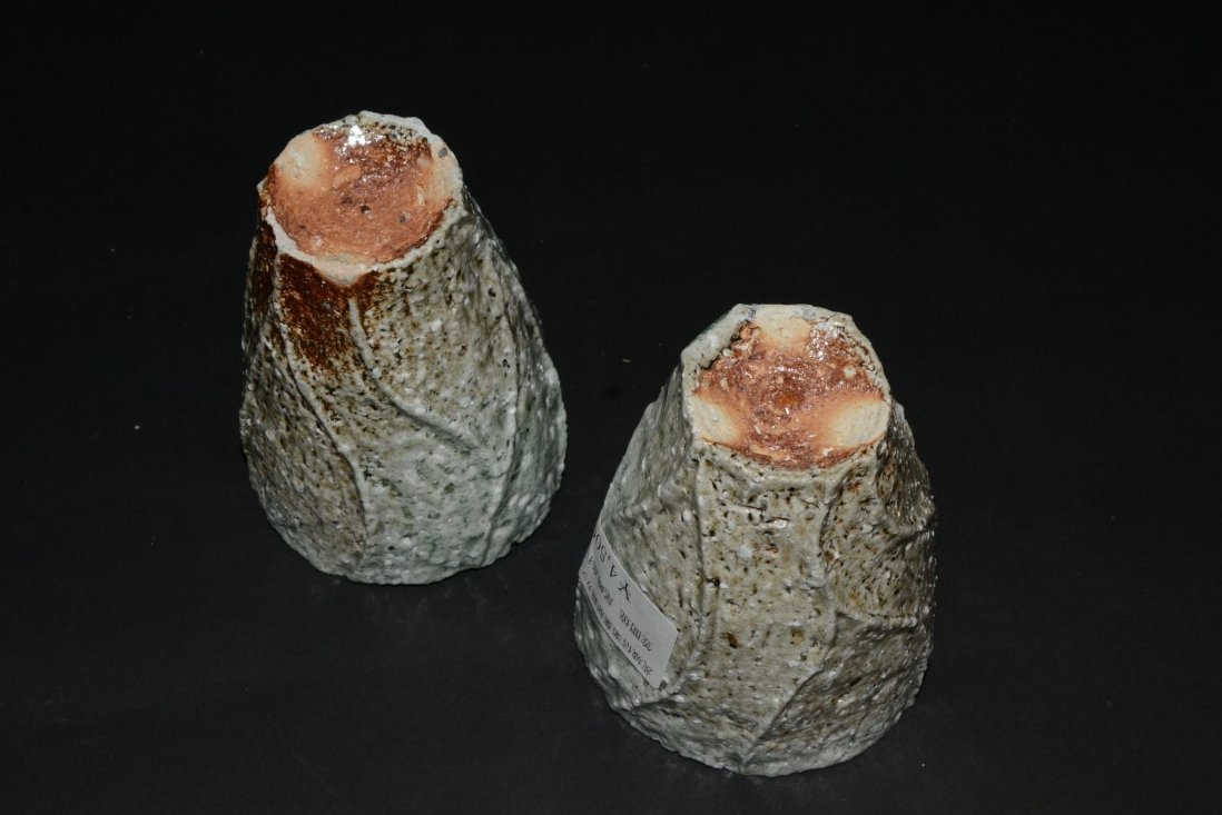 ���M�y�t���M�J�b�v